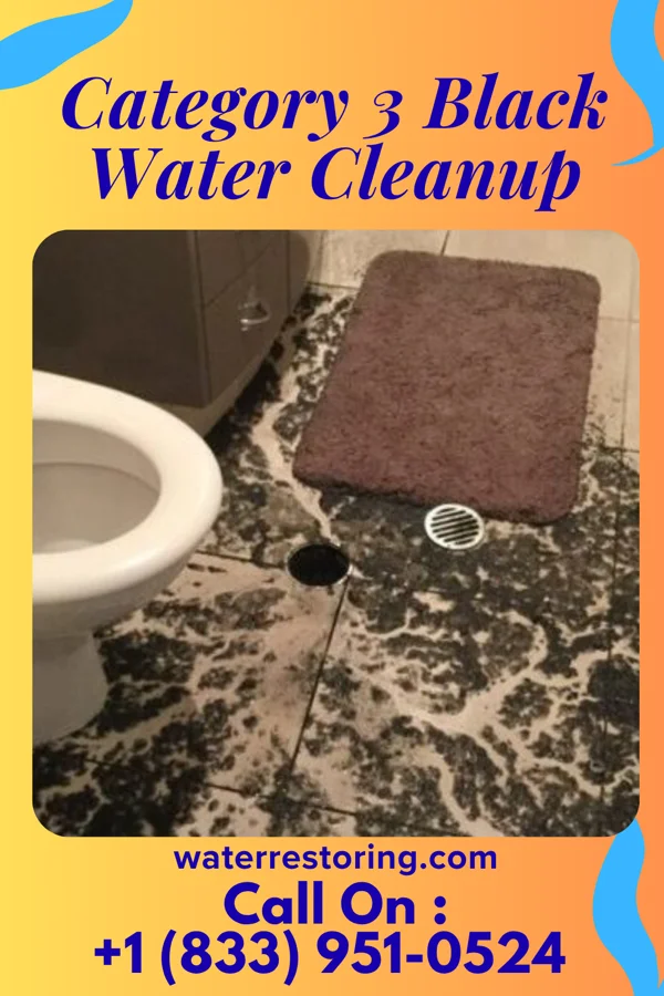 Category 3 Black Water Cleanup in Crystal River, FL