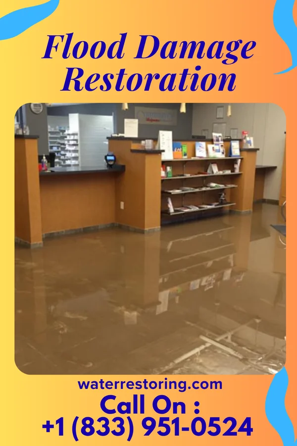 Flood Damage Restoration in Crystal River, FL