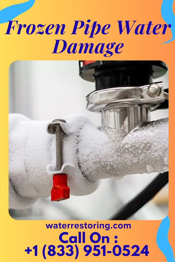 Frozen Pipe Water Damage in Crystal River, FL