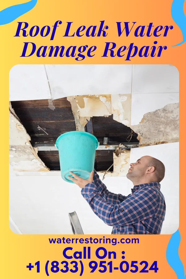 Roof Leak Water Damage Repair in Crystal River, FL